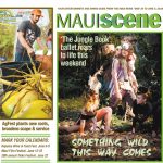 Maui Scene